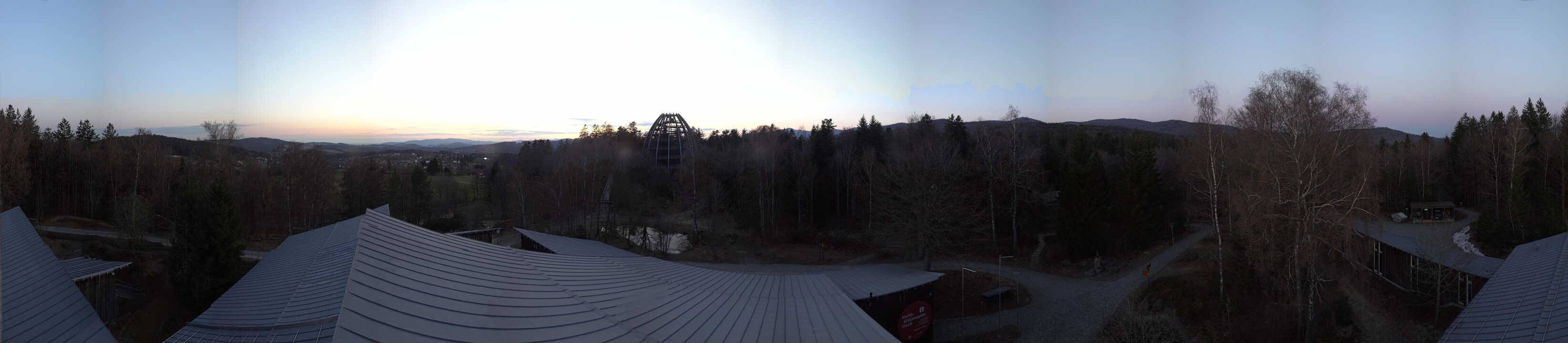 Archived image Webcam Neuschönau - Tree Top Walk Bavarian Forest