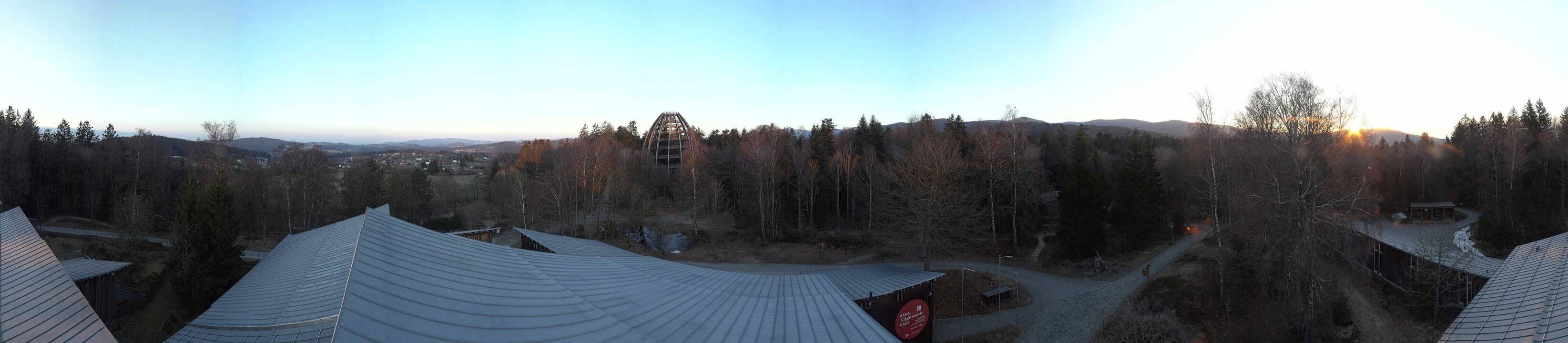 Archiv Foto Webcam Neuschönau - Baumwipfelpfad Bayerischer Wald