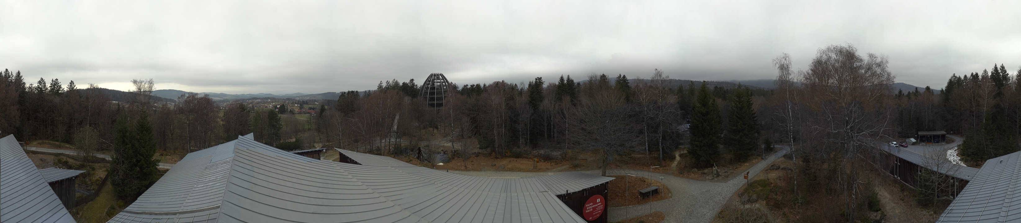 Archiv Foto Webcam Neuschönau - Baumwipfelpfad Bayerischer Wald