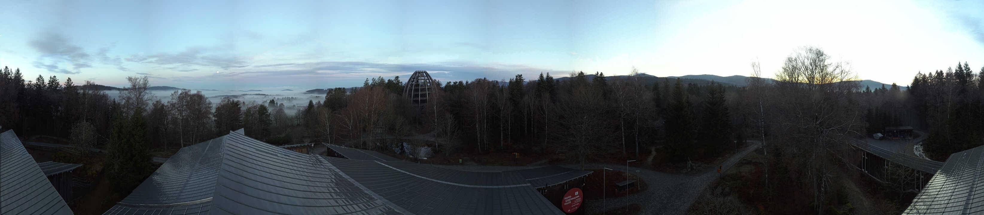 Archiv Foto Webcam Neuschönau - Baumwipfelpfad Bayerischer Wald