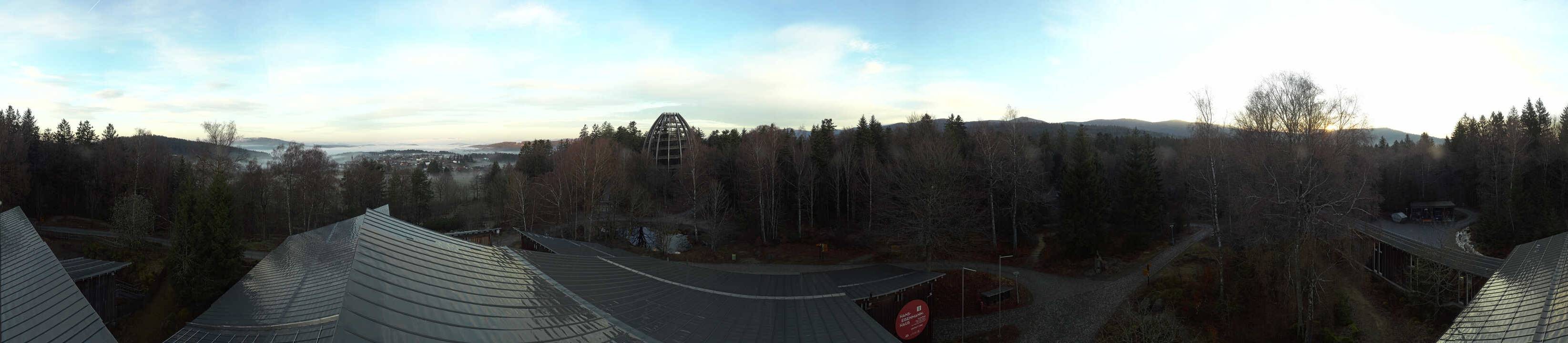 Archiv Foto Webcam Neuschönau - Baumwipfelpfad Bayerischer Wald
