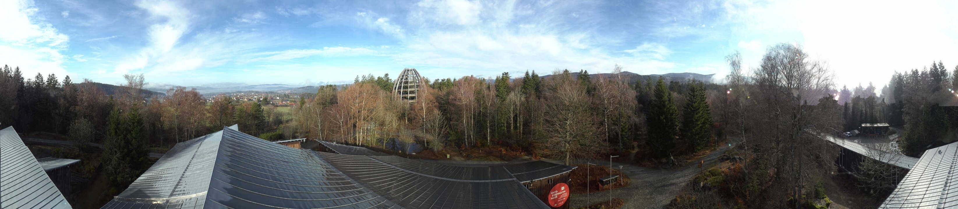 Archiv Foto Webcam Neuschönau - Baumwipfelpfad Bayerischer Wald