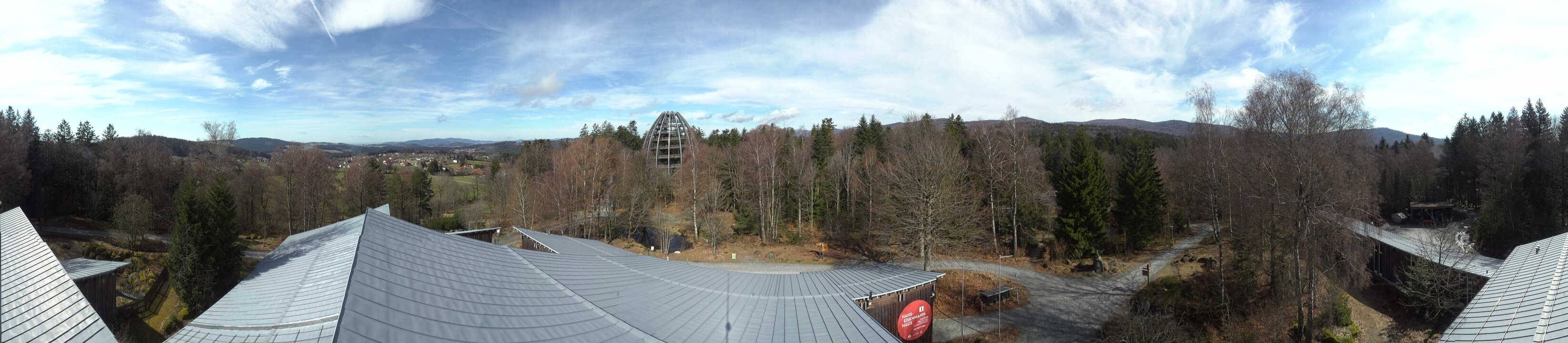 Archiv Foto Webcam Neuschönau - Baumwipfelpfad Bayerischer Wald