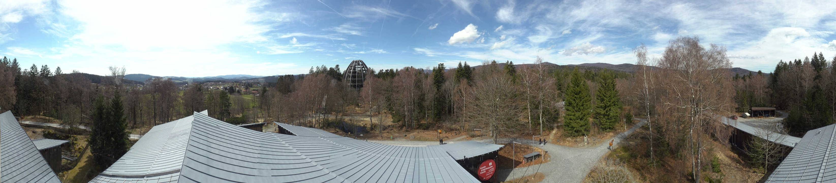 Archiv Foto Webcam Neuschönau - Baumwipfelpfad Bayerischer Wald