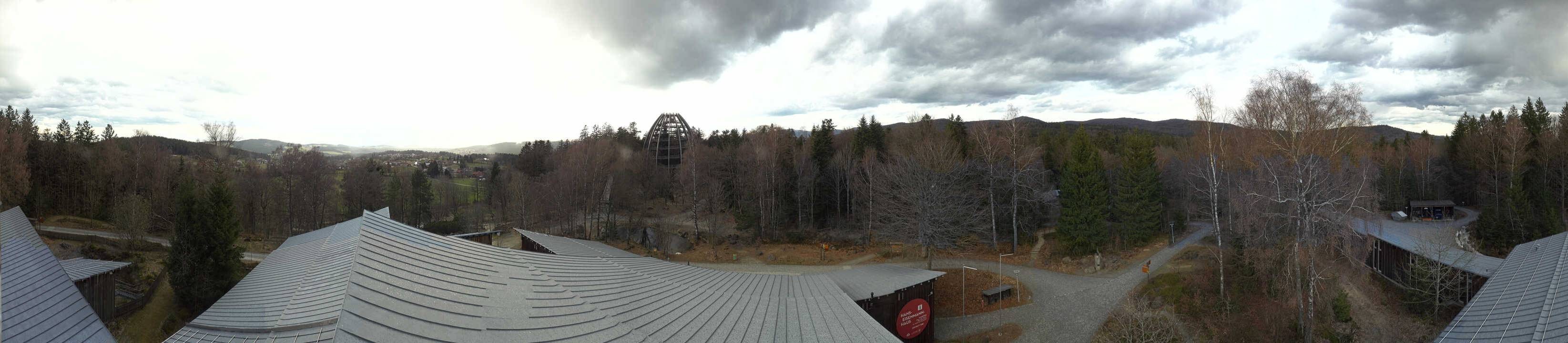 Archiv Foto Webcam Neuschönau - Baumwipfelpfad Bayerischer Wald