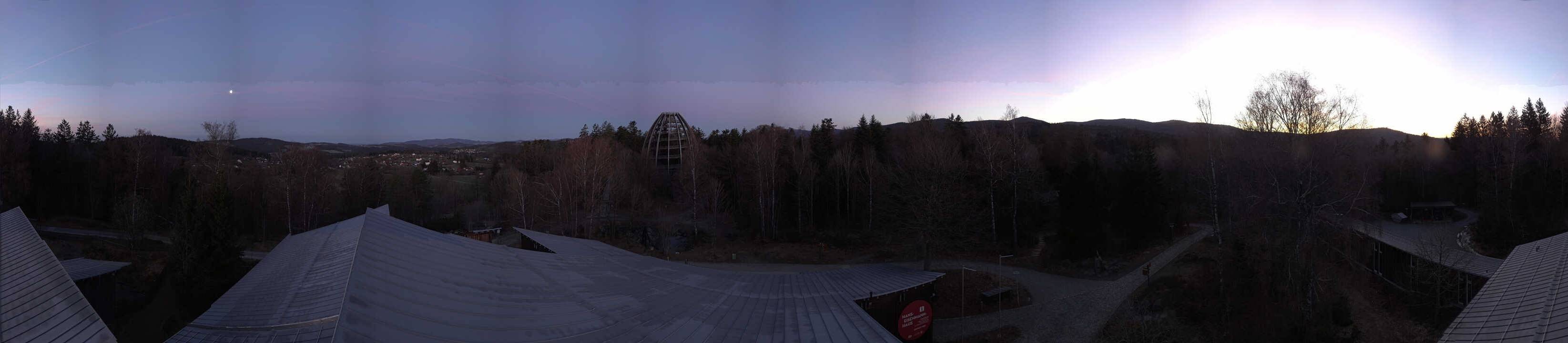 Archived image Webcam Neuschönau - Tree Top Walk Bavarian Forest