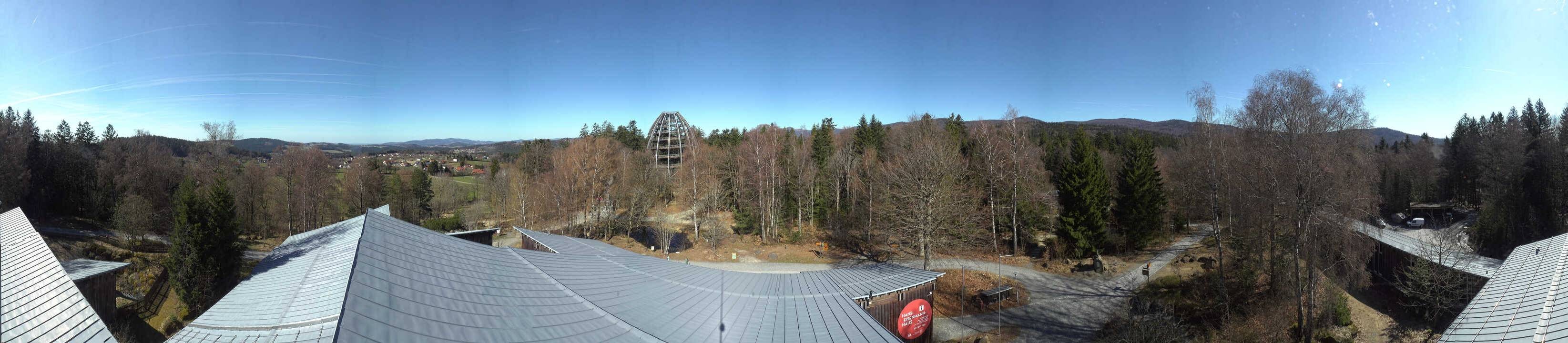 Archived image Webcam Neuschönau - Tree Top Walk Bavarian Forest