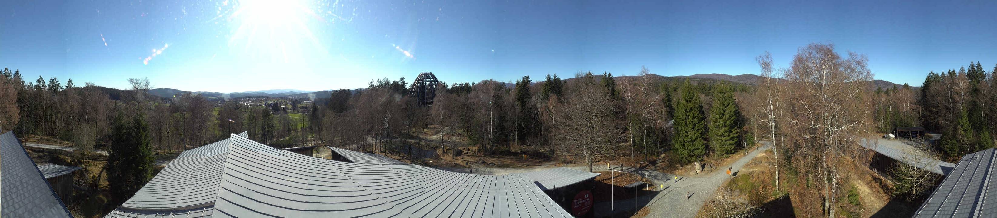 Archived image Webcam Neuschönau - Tree Top Walk Bavarian Forest