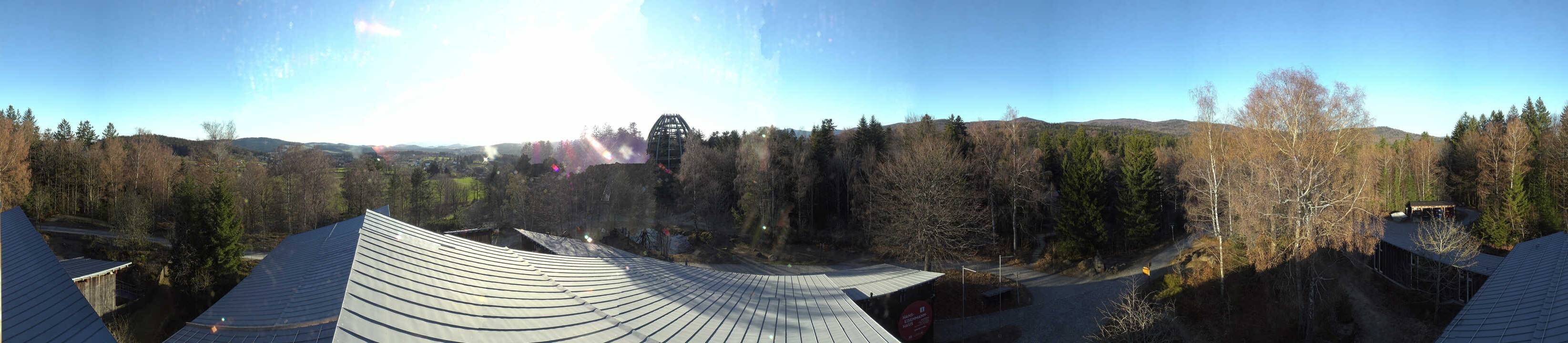 Archiv Foto Webcam Neuschönau - Baumwipfelpfad Bayerischer Wald