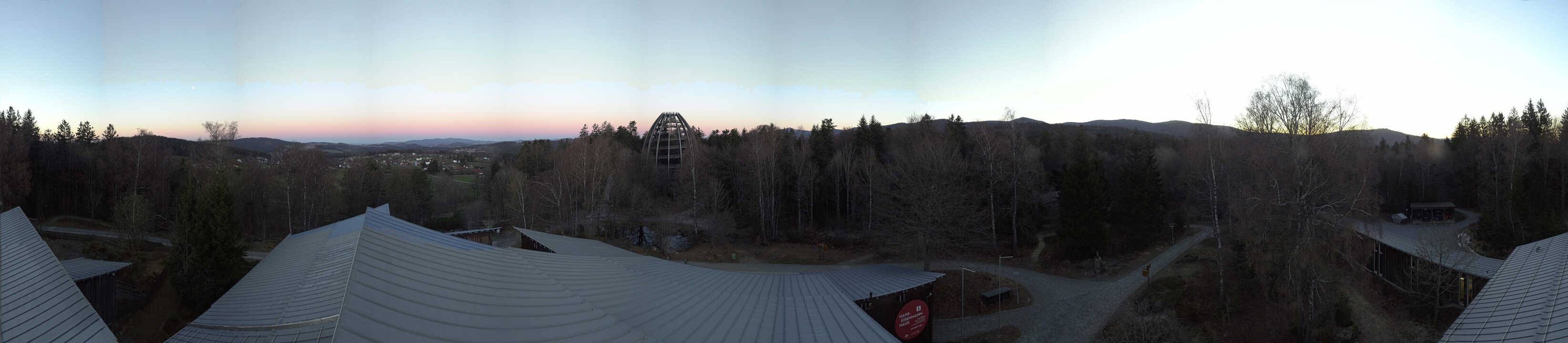 Archiv Foto Webcam Neuschönau - Baumwipfelpfad Bayerischer Wald