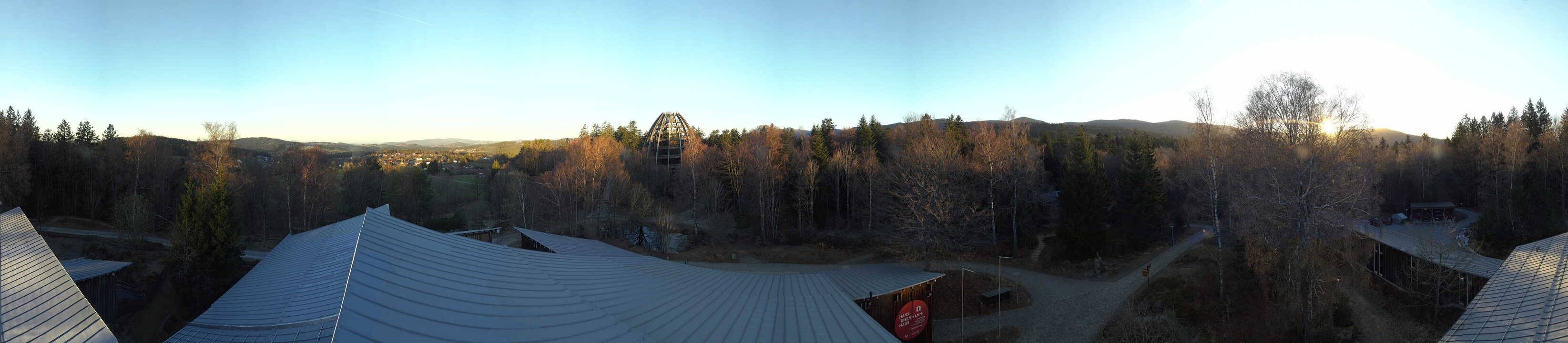 Archiv Foto Webcam Neuschönau - Baumwipfelpfad Bayerischer Wald