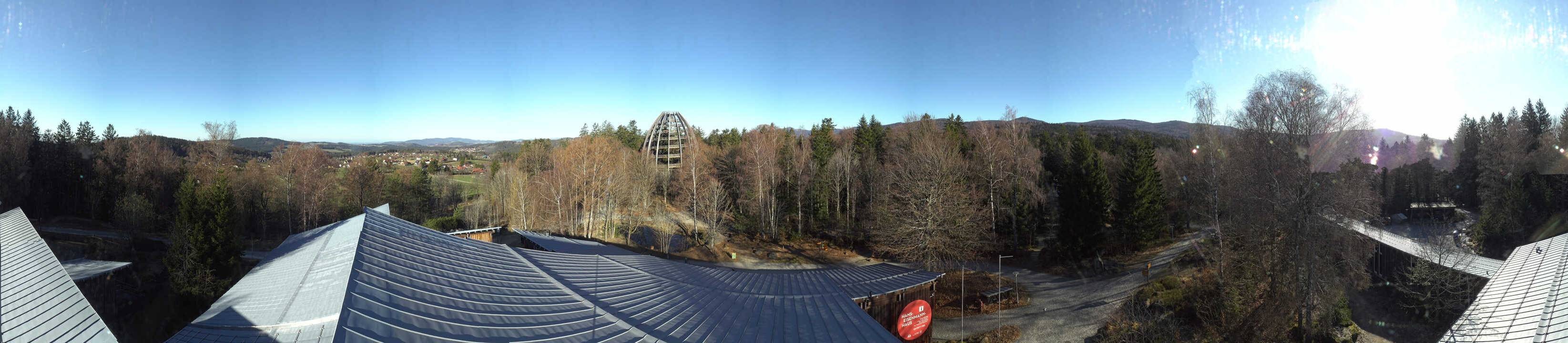 Archiv Foto Webcam Neuschönau - Baumwipfelpfad Bayerischer Wald