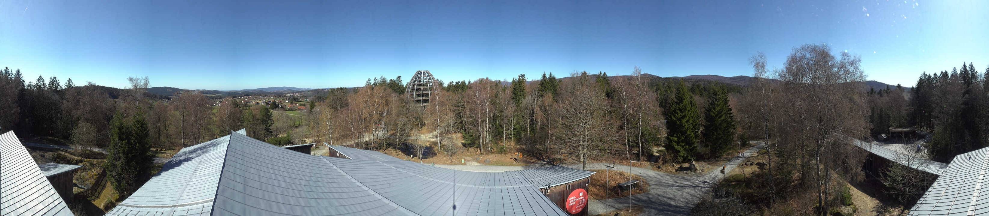 Archiv Foto Webcam Neuschönau - Baumwipfelpfad Bayerischer Wald