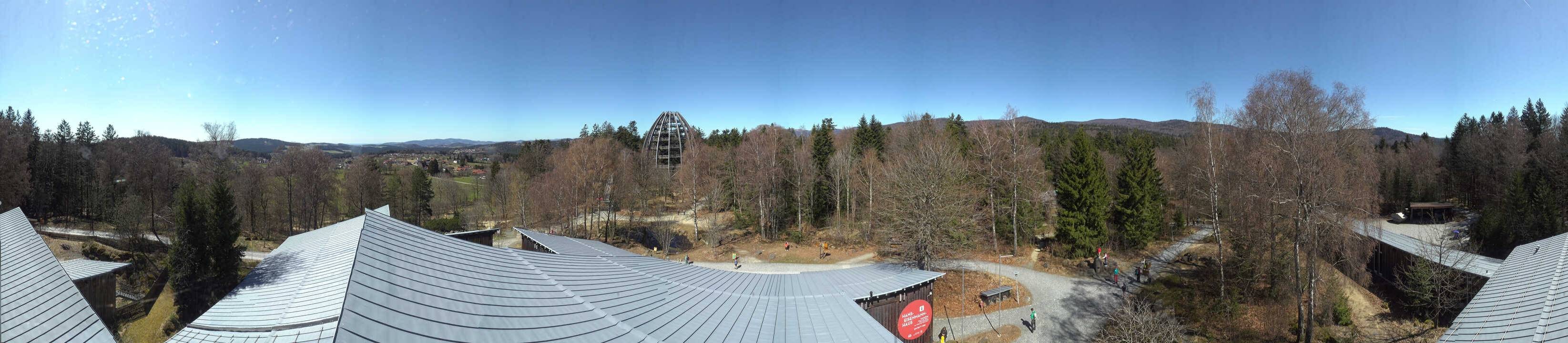 Archiv Foto Webcam Neuschönau - Baumwipfelpfad Bayerischer Wald