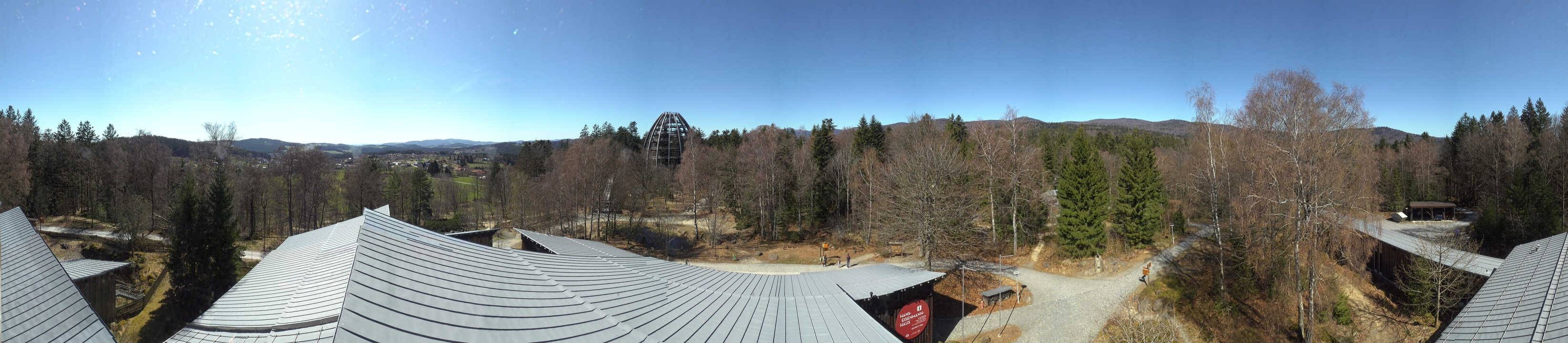 Archiv Foto Webcam Neuschönau - Baumwipfelpfad Bayerischer Wald