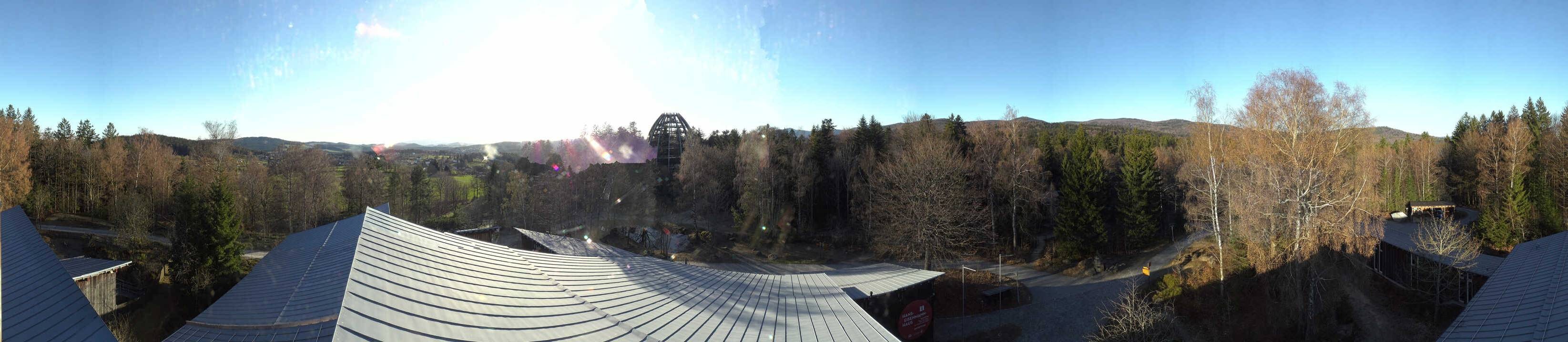 Archiv Foto Webcam Neuschönau - Baumwipfelpfad Bayerischer Wald