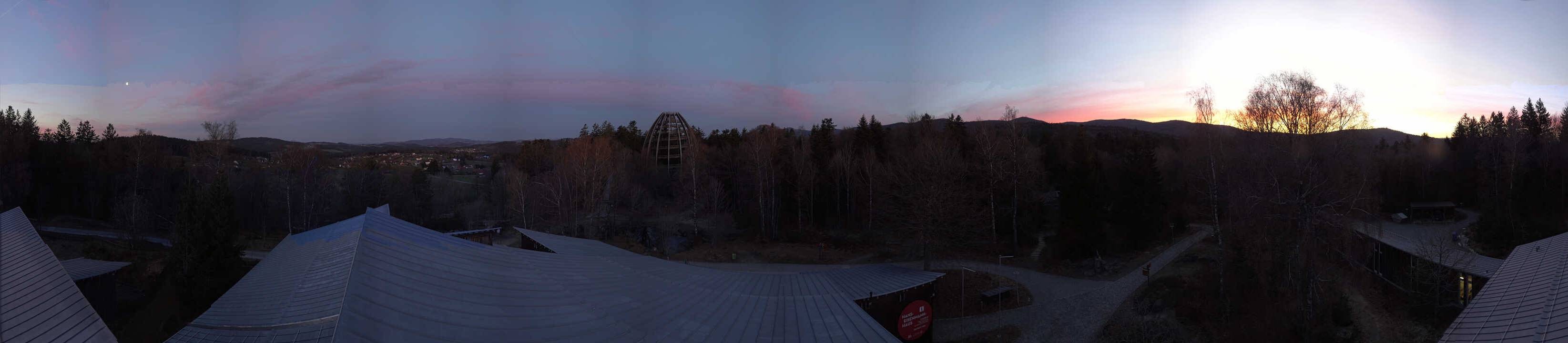 Archived image Webcam Neuschönau - Tree Top Walk Bavarian Forest