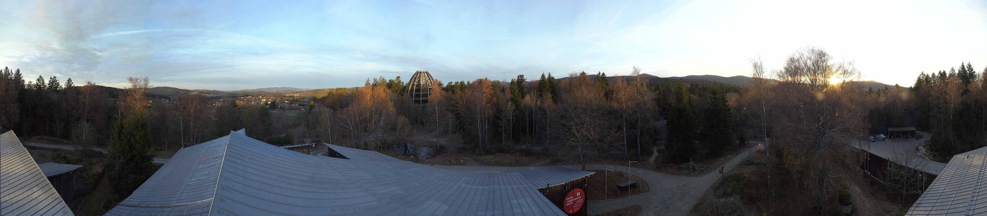 Archived image Webcam Neuschönau - Tree Top Walk Bavarian Forest