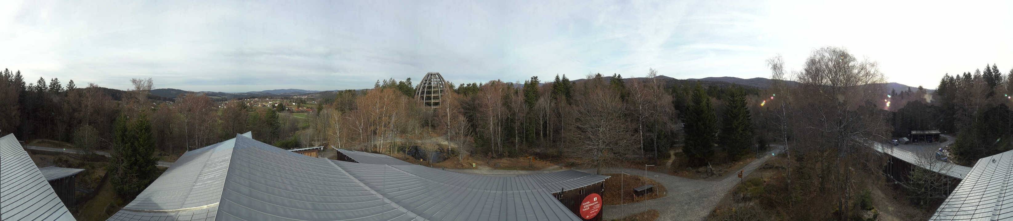 Archived image Webcam Neuschönau - Tree Top Walk Bavarian Forest