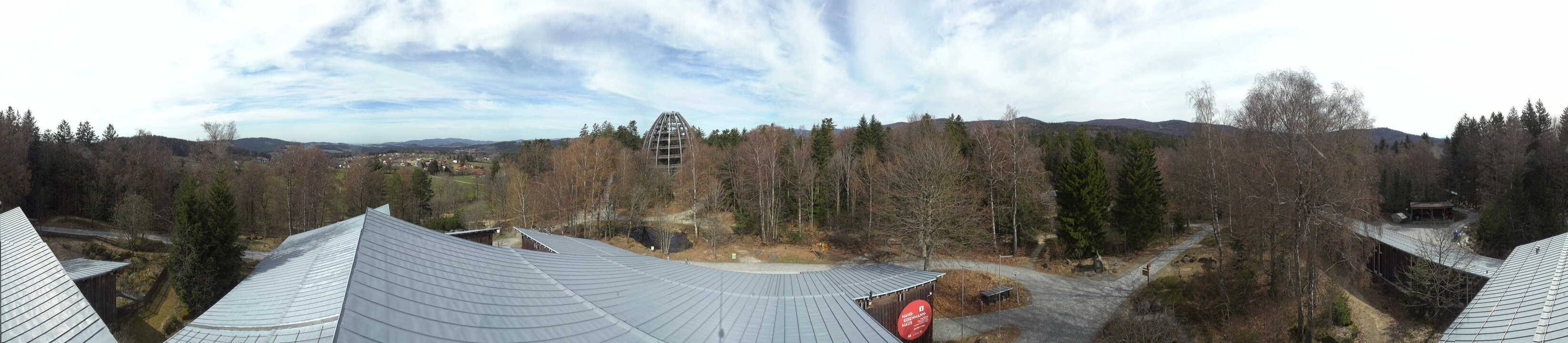 Archived image Webcam Neuschönau - Tree Top Walk Bavarian Forest