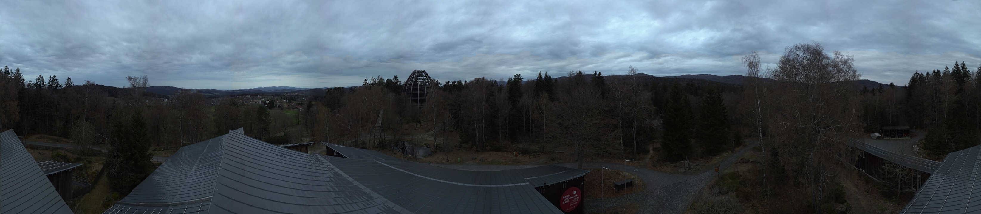 Archived image Webcam Neuschönau - Tree Top Walk Bavarian Forest