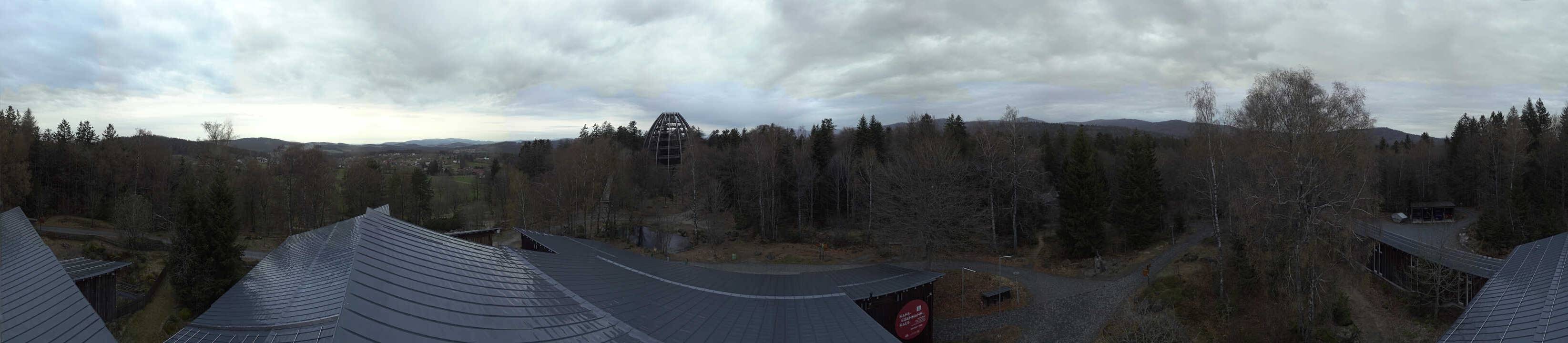 Archived image Webcam Neuschönau - Tree Top Walk Bavarian Forest