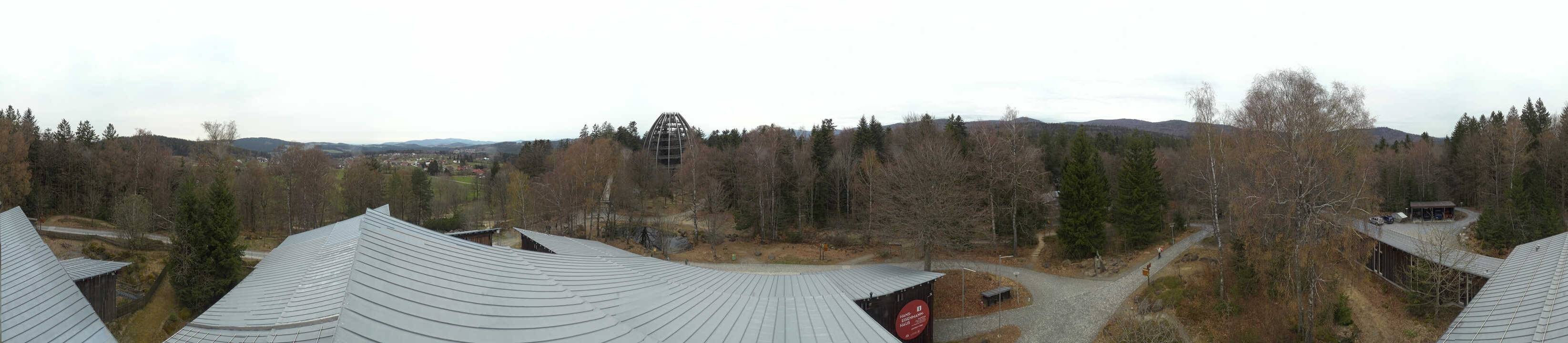 Archived image Webcam Neuschönau - Tree Top Walk Bavarian Forest