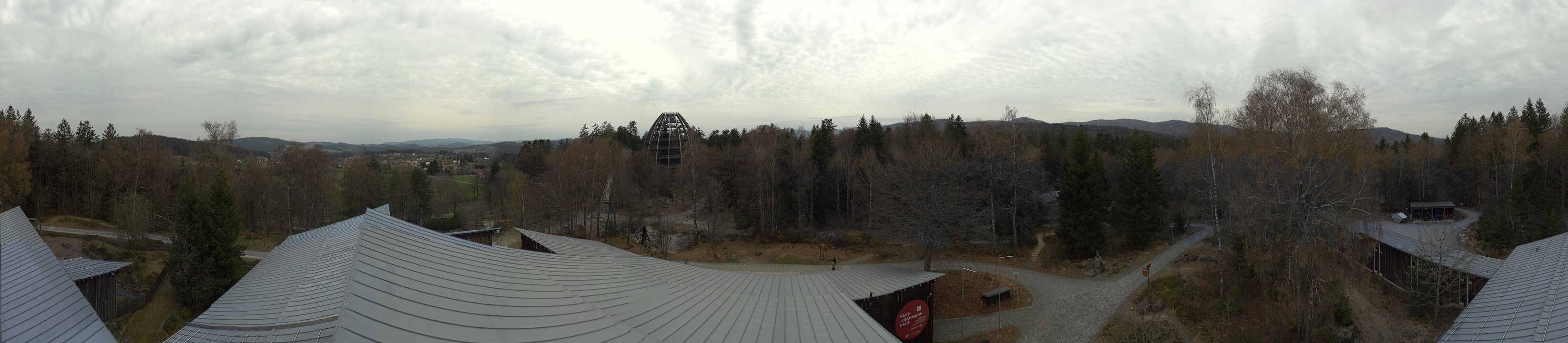 Archived image Webcam Neuschönau - Tree Top Walk Bavarian Forest