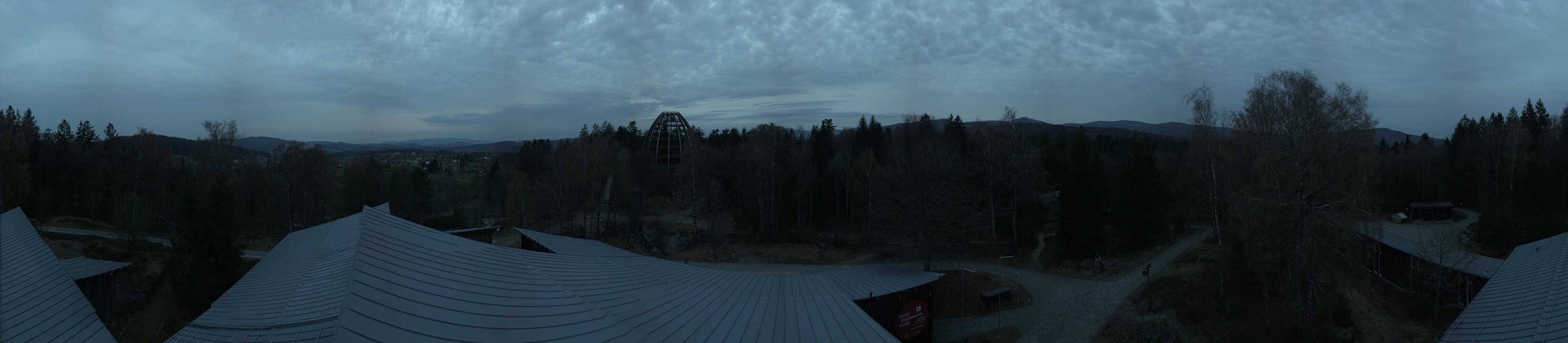 Archived image Webcam Neuschönau - Tree Top Walk Bavarian Forest