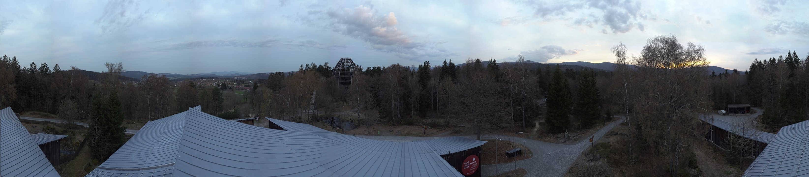 Archived image Webcam Neuschönau - Tree Top Walk Bavarian Forest