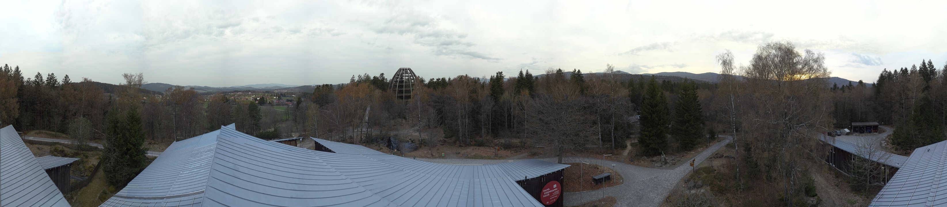 Archived image Webcam Neuschönau - Tree Top Walk Bavarian Forest