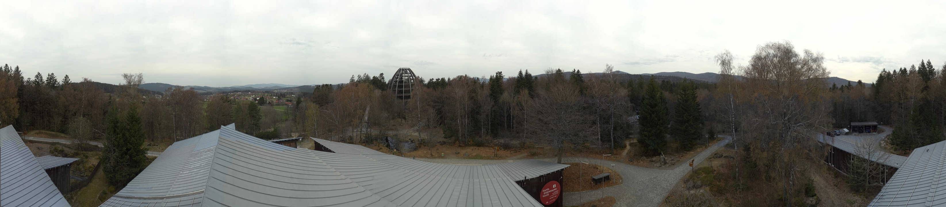 Archived image Webcam Neuschönau - Tree Top Walk Bavarian Forest