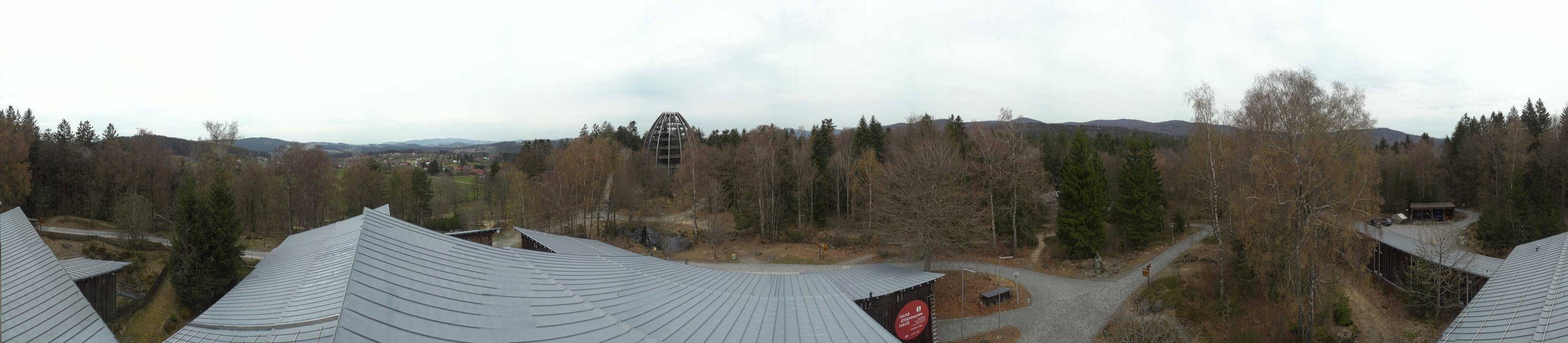 Archiv Foto Webcam Neuschönau - Baumwipfelpfad Bayerischer Wald