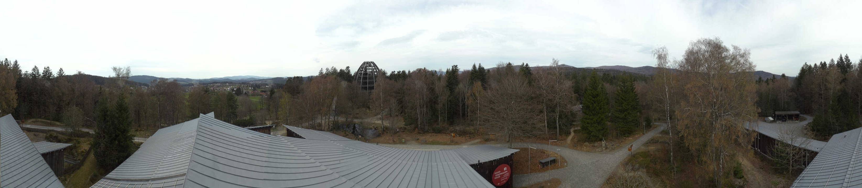 Archiv Foto Webcam Neuschönau - Baumwipfelpfad Bayerischer Wald
