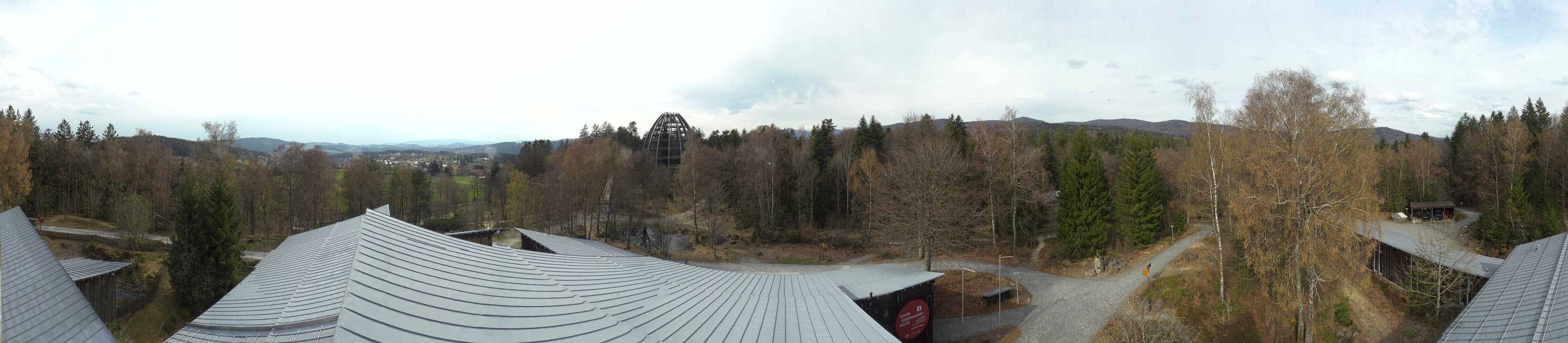 Archiv Foto Webcam Neuschönau - Baumwipfelpfad Bayerischer Wald