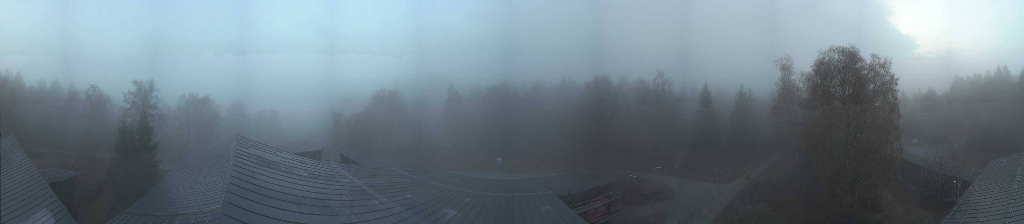 Archived image Webcam Neuschönau - Tree Top Walk Bavarian Forest