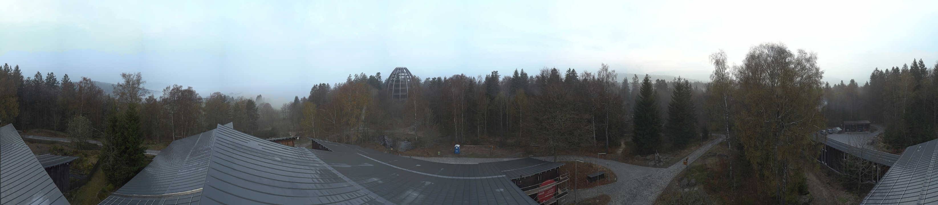 Archived image Webcam Neuschönau - Tree Top Walk Bavarian Forest