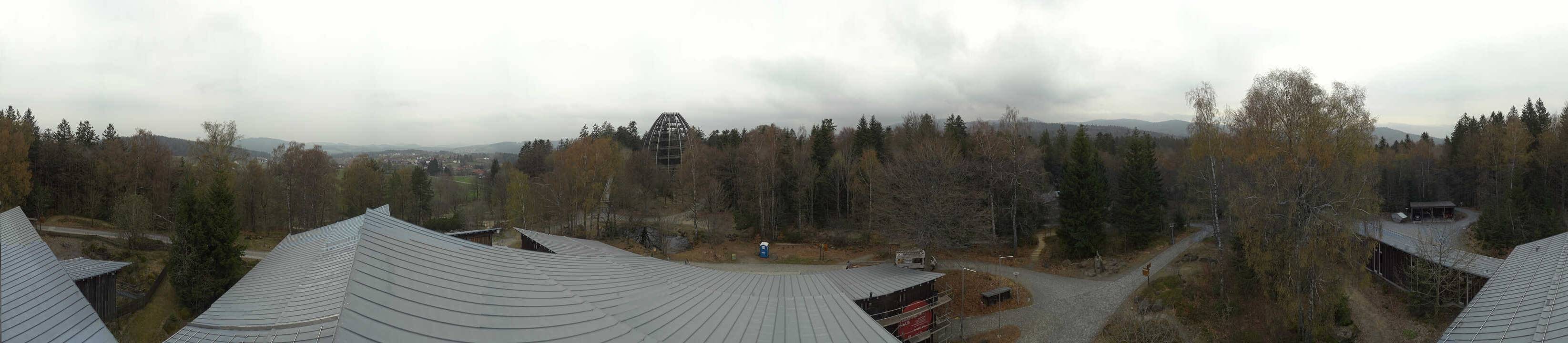 Archived image Webcam Neuschönau - Tree Top Walk Bavarian Forest