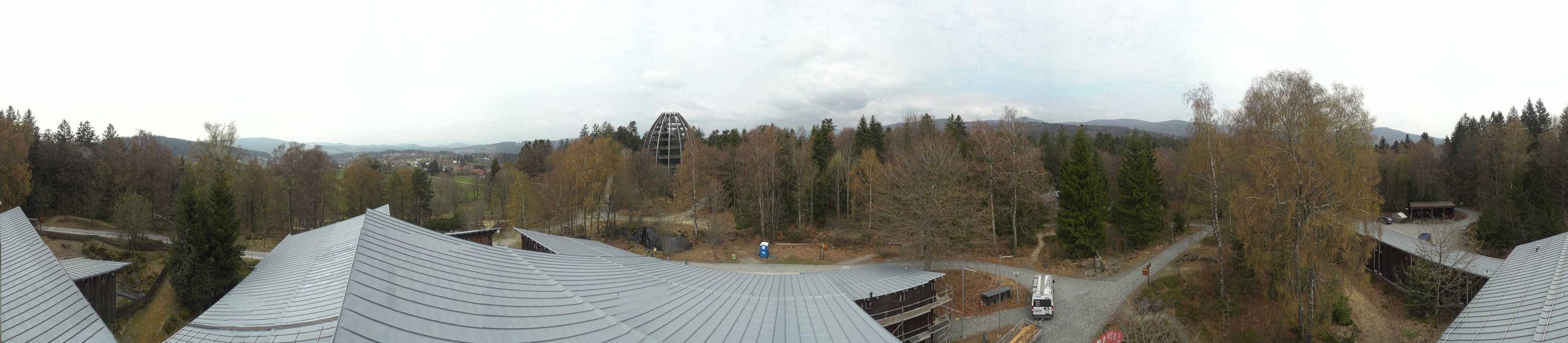 Archived image Webcam Neuschönau - Tree Top Walk Bavarian Forest