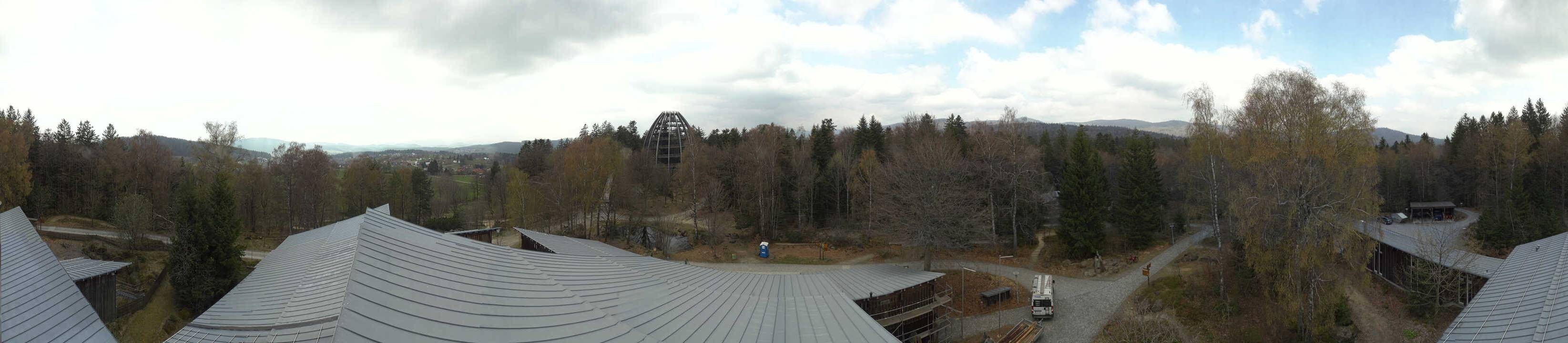 Archived image Webcam Neuschönau - Tree Top Walk Bavarian Forest