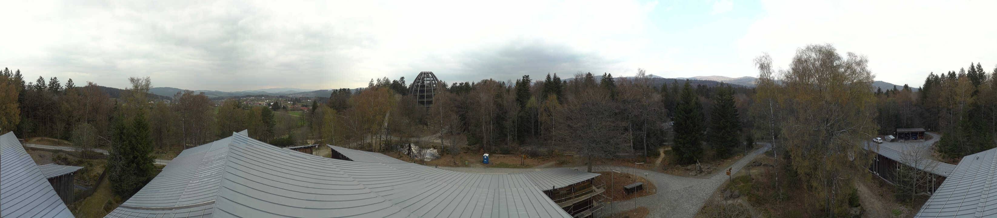 Archived image Webcam Neuschönau - Tree Top Walk Bavarian Forest
