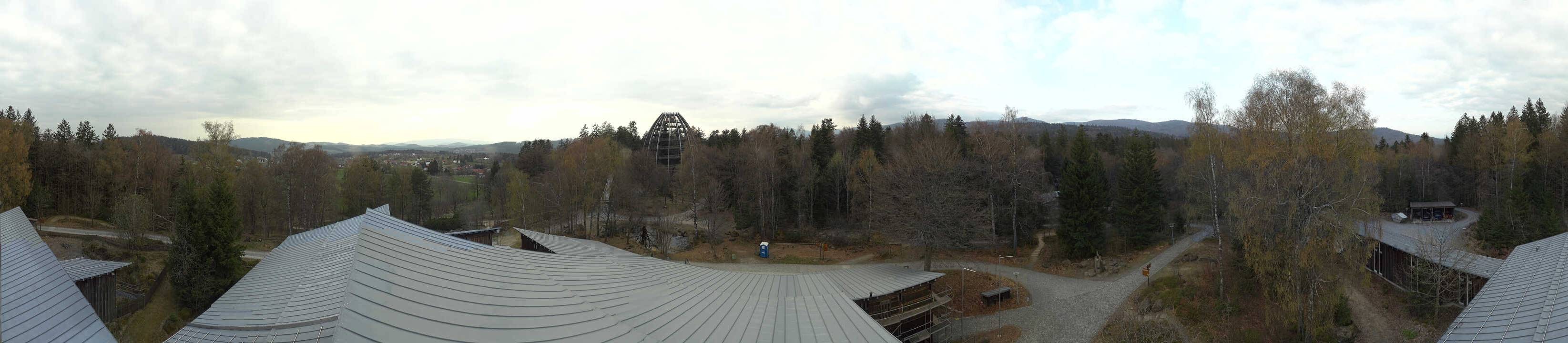 Archived image Webcam Neuschönau - Tree Top Walk Bavarian Forest