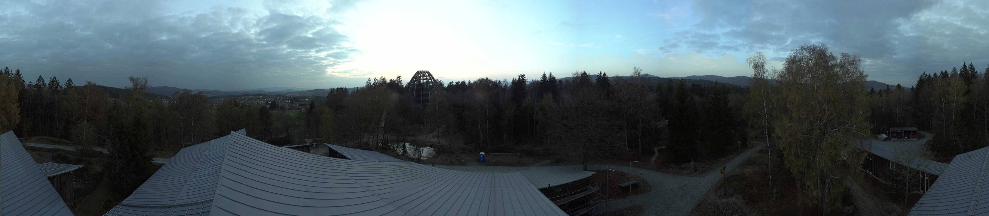 Archived image Webcam Neuschönau - Tree Top Walk Bavarian Forest