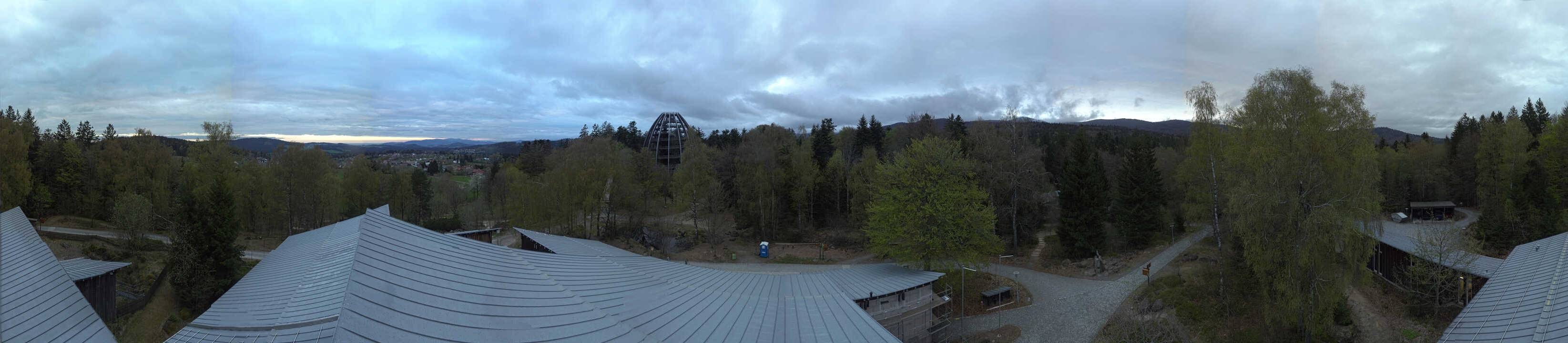 Archiv Foto Webcam Neuschönau - Baumwipfelpfad Bayerischer Wald