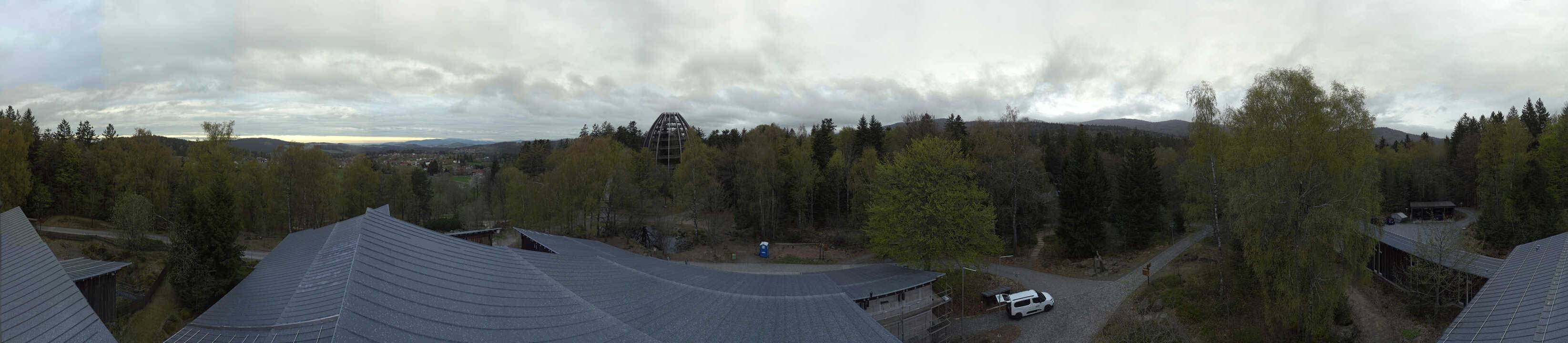 Archiv Foto Webcam Neuschönau - Baumwipfelpfad Bayerischer Wald