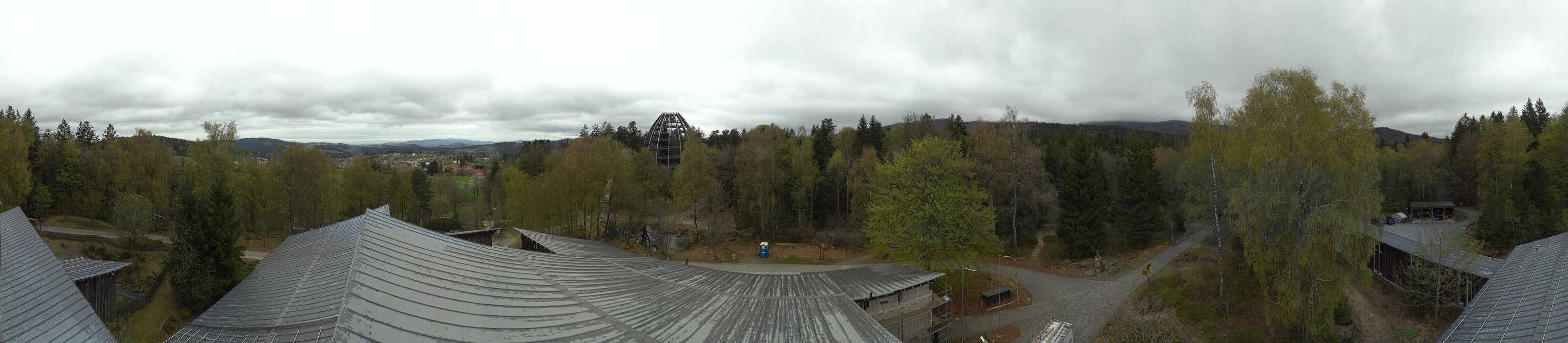 Archiv Foto Webcam Neuschönau - Baumwipfelpfad Bayerischer Wald