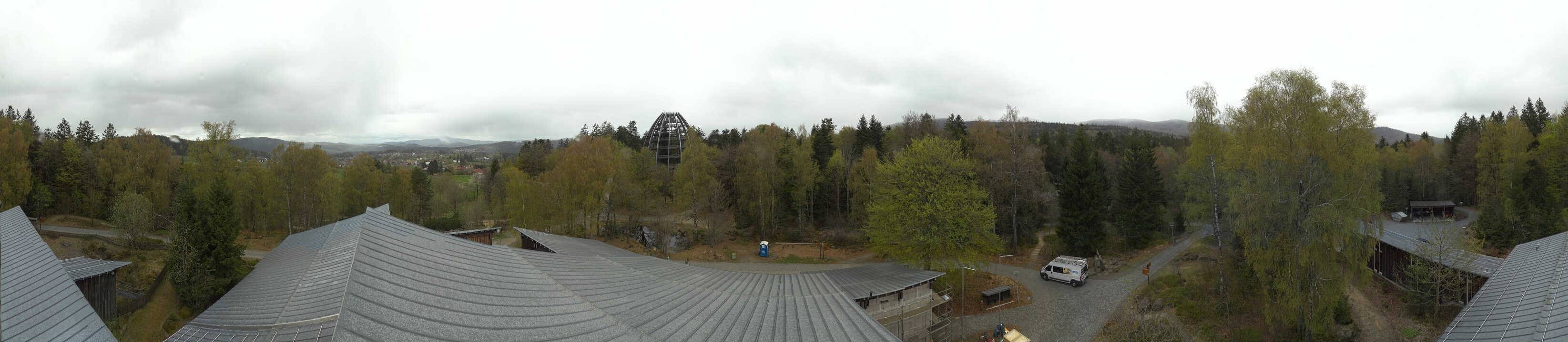 Archiv Foto Webcam Neuschönau - Baumwipfelpfad Bayerischer Wald