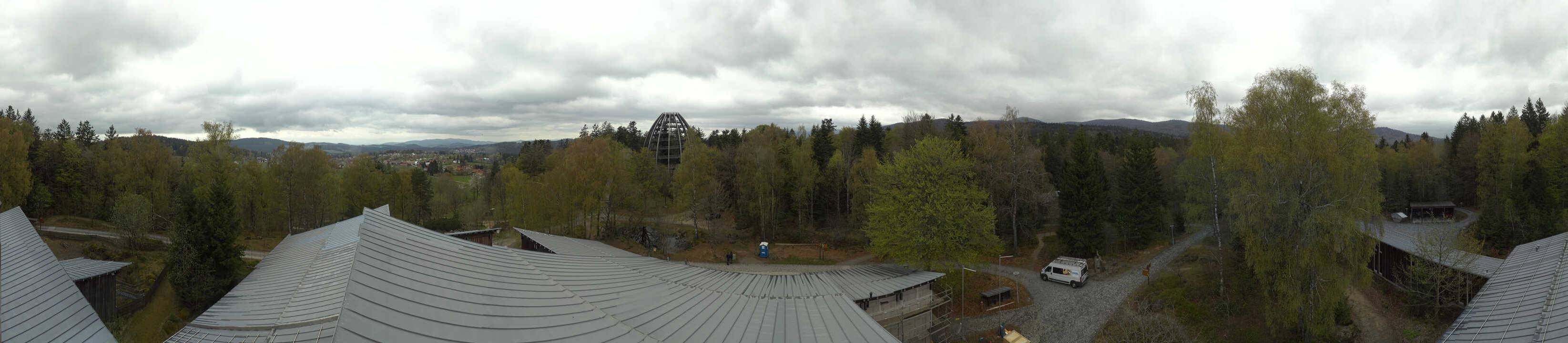 Archiv Foto Webcam Neuschönau - Baumwipfelpfad Bayerischer Wald
