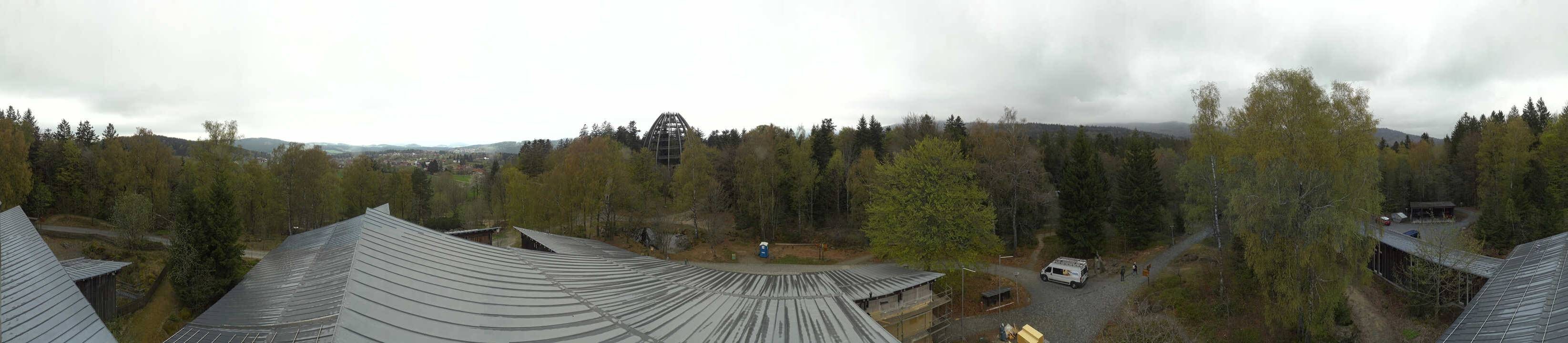 Archiv Foto Webcam Neuschönau - Baumwipfelpfad Bayerischer Wald