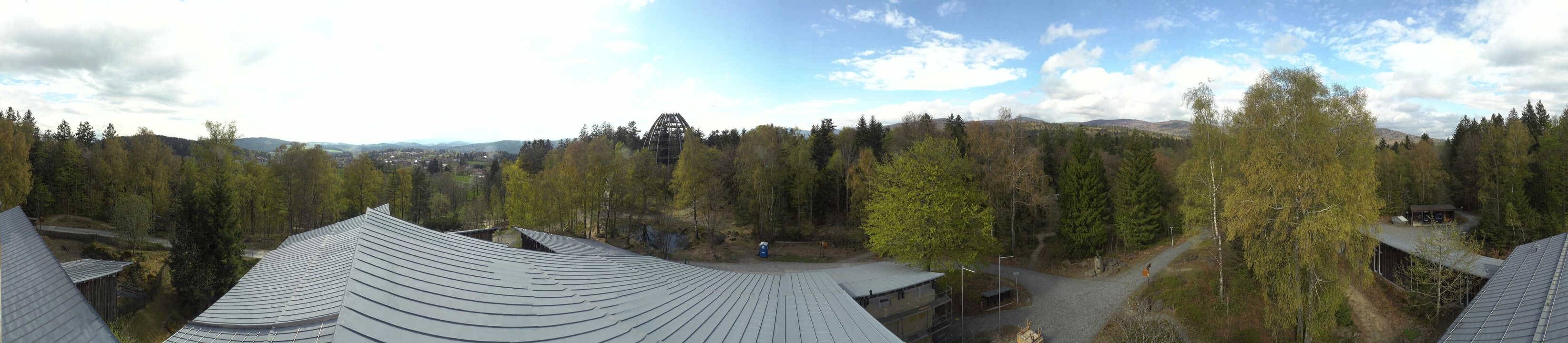 Archiv Foto Webcam Neuschönau - Baumwipfelpfad Bayerischer Wald